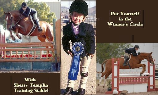 Put Yourself in the Winner's Circle with Sherry Templin Training Stables!