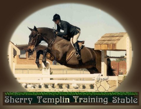 Sherry Templin Training Stable