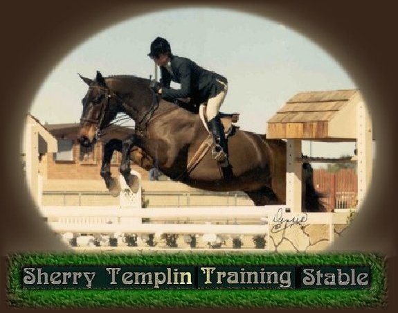 Sherry Templin Training Stable