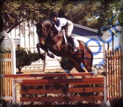 Silvano